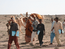 Camel caravan photo