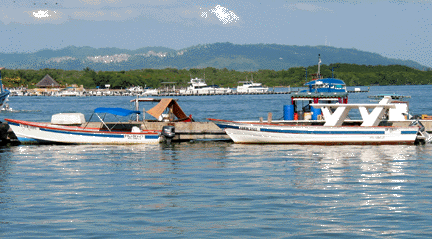 Dive boats image